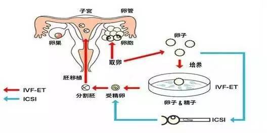 一招知道自己怀孕了月经 一招知道自己怀孕了